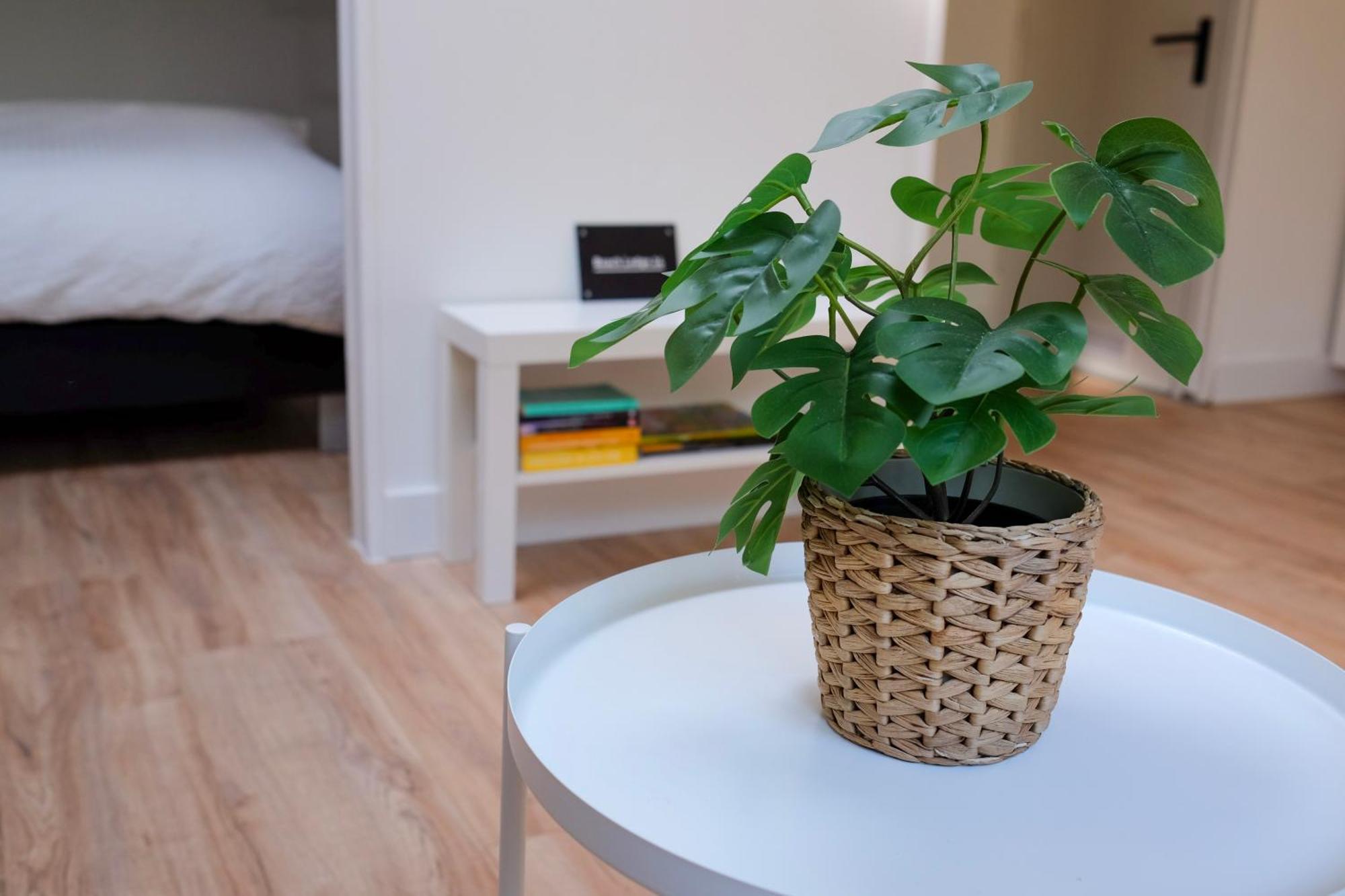 Beach Lodge 24 - Noordwijk Aan Zee - Met Eigen Tuin ภายนอก รูปภาพ